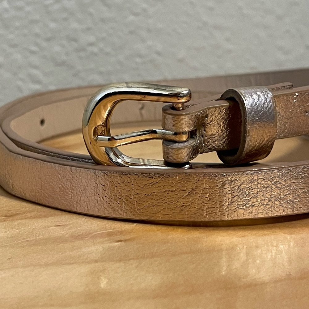 Rose Gold Belt